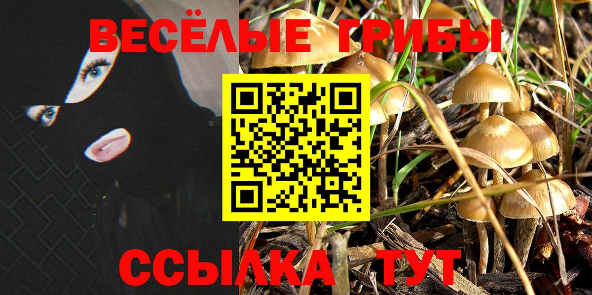 Галлюциногенные грибы Magic Shrooms  Вход с VPN  Корсаков 