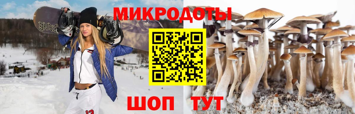 Псилоцибиновые грибы ЛСД Корсаков